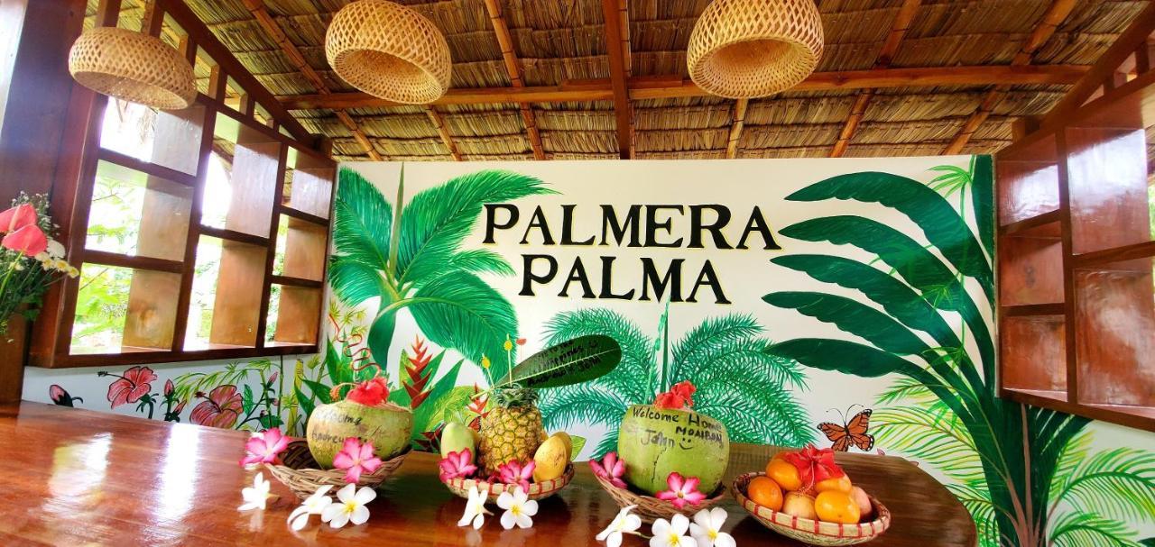 Palmera Palma Garden Level Moalboal Esterno foto
